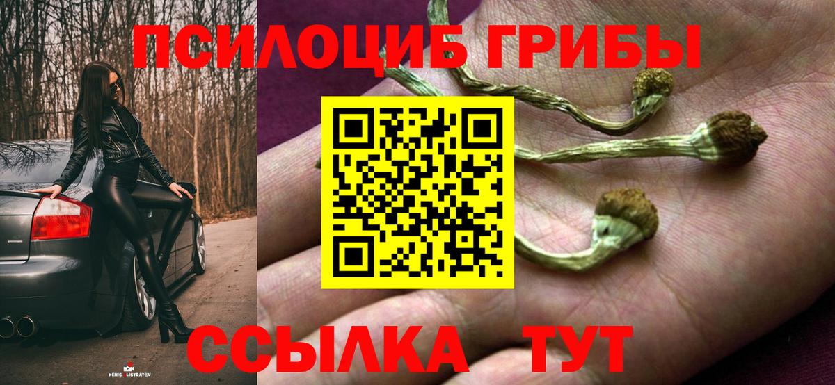 Унеча  дарнет шоп  Вход с VPN  Псилоцибиновые грибы MAGIC MUSHROOMS 