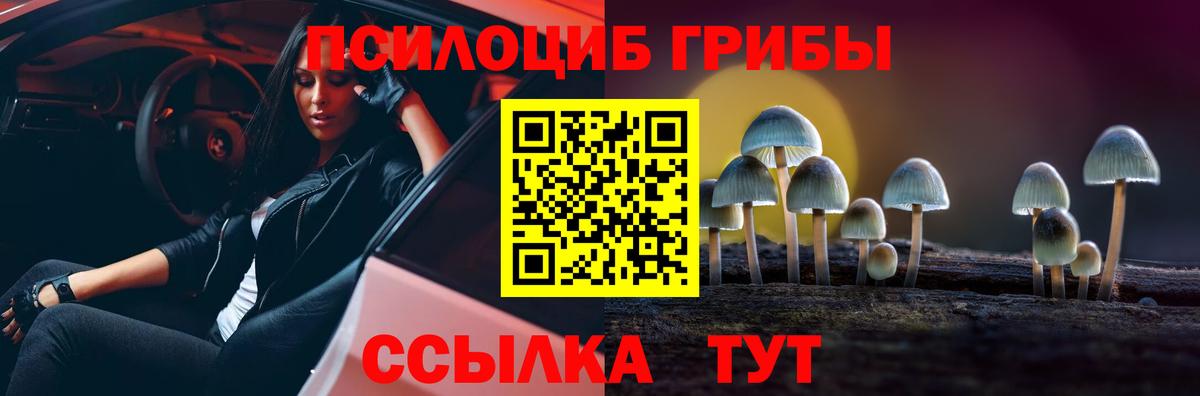 Галлюциногенные грибы GOLDEN TEACHER Унеча