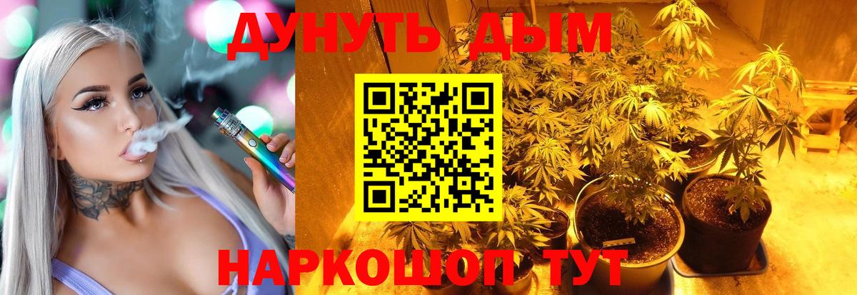 Унеча  Бошки Шишки план  Вход с VPN  Каннабис AK-47  Шишки марихуана White Widow  Бошки Шишки Amnesia 